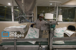 رکوردشکنی تاریخی تولید شکر در شرکت فارابی با تولید ۲۱۰ هزار تن