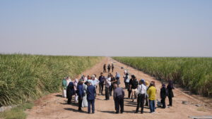 در راستای برگزاری سومین جشنواره ادبی شکرستان؛ شاعران و داستان‌نویسان از نیشکر فارابی بازدید کردند