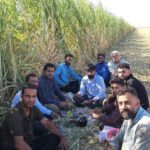 نان کار و نمکِ رفاقت