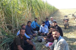 نان کار و نمکِ رفاقت